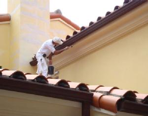 painting contractor Palm Beach before and after photo 1529936972476_roof_ss