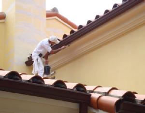 painting contractor Palm Beach before and after photo 1530131840105_painting_roof_ss